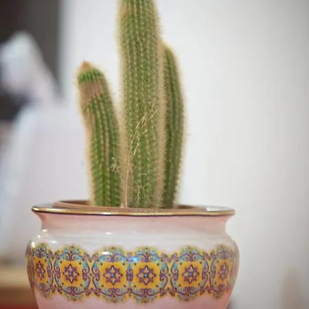 Stepanek By Hermann Weiss Lejlighed *