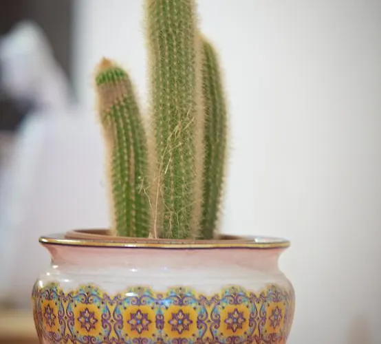 Stepanek By Hermann Weiss Apartament *